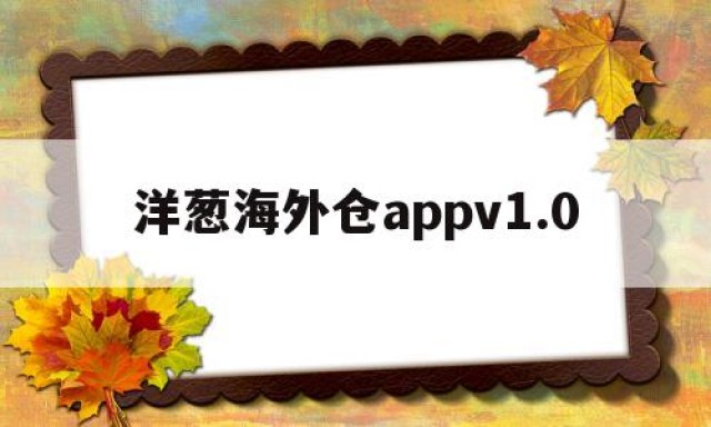 洋葱海外仓appv1.0